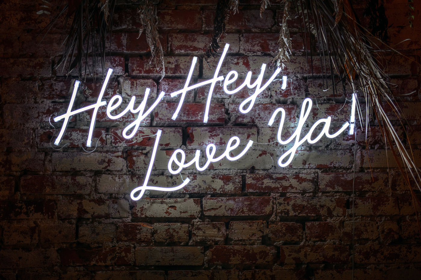 Hey Hey love ya!-neonskylt