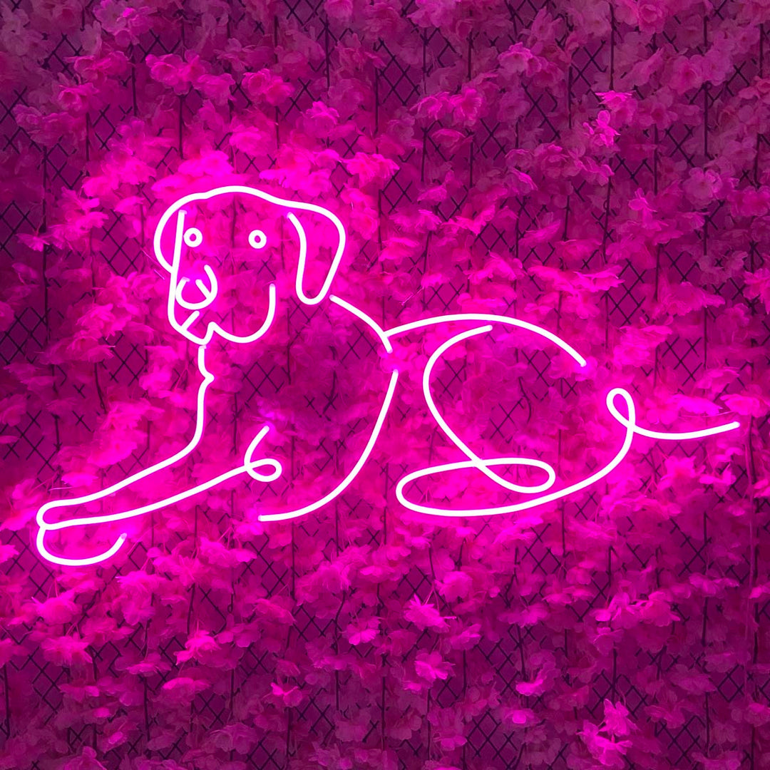 "Labrador Retriever Hund" Neonskylt